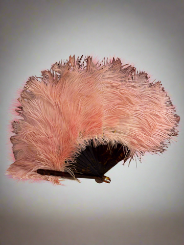 Rare Ostrich Feather Fan