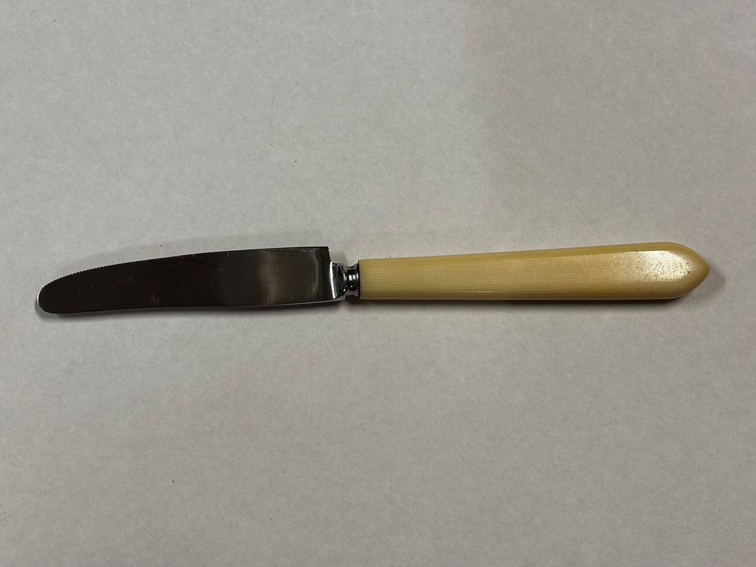 Bone Handle Steak Knife Set