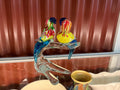 Murano Art Glass Parrots Multicoloured Murano