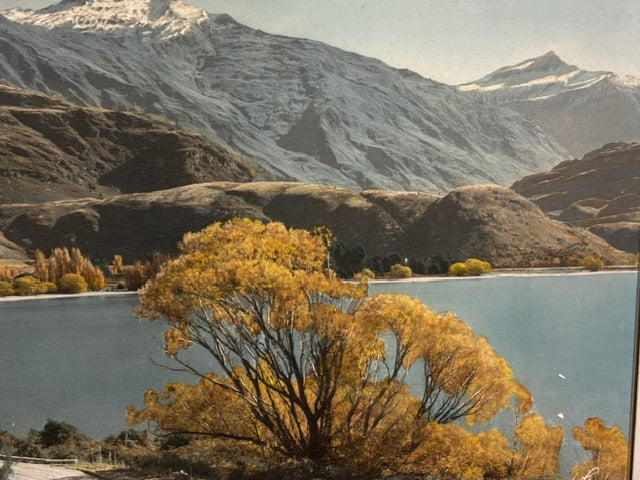 Glendhu Bay Whites Aviation Painting