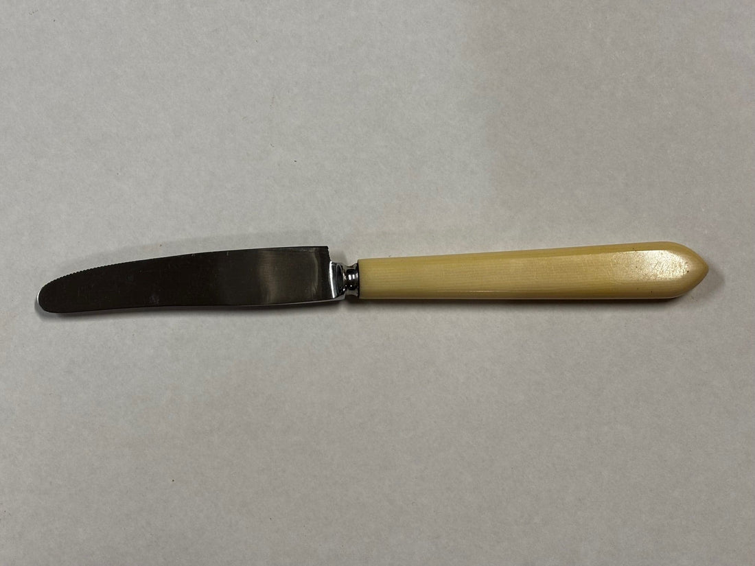Bone Handle Steak Knife Set - Industry Vintage