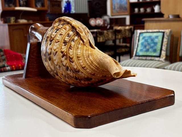 Polynesian Conch Horn - Industry Vintage