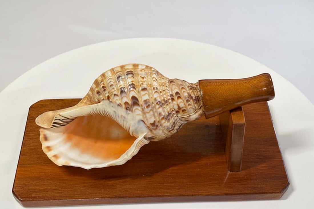 Polynesian Conch Horn - Industry Vintage
