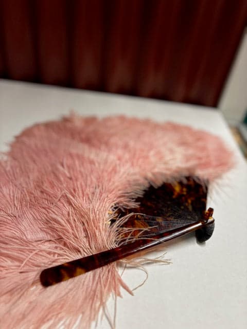 Rare Ostrich Feather Fan - Industry Vintage