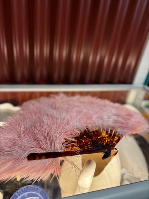 Rare Ostrich Feather Fan - Industry Vintage