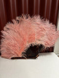 Rare Ostrich Feather Fan - Industry Vintage