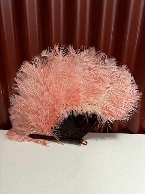 Rare Ostrich Feather Fan - Industry Vintage