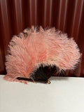 Rare Ostrich Feather Fan - Industry Vintage