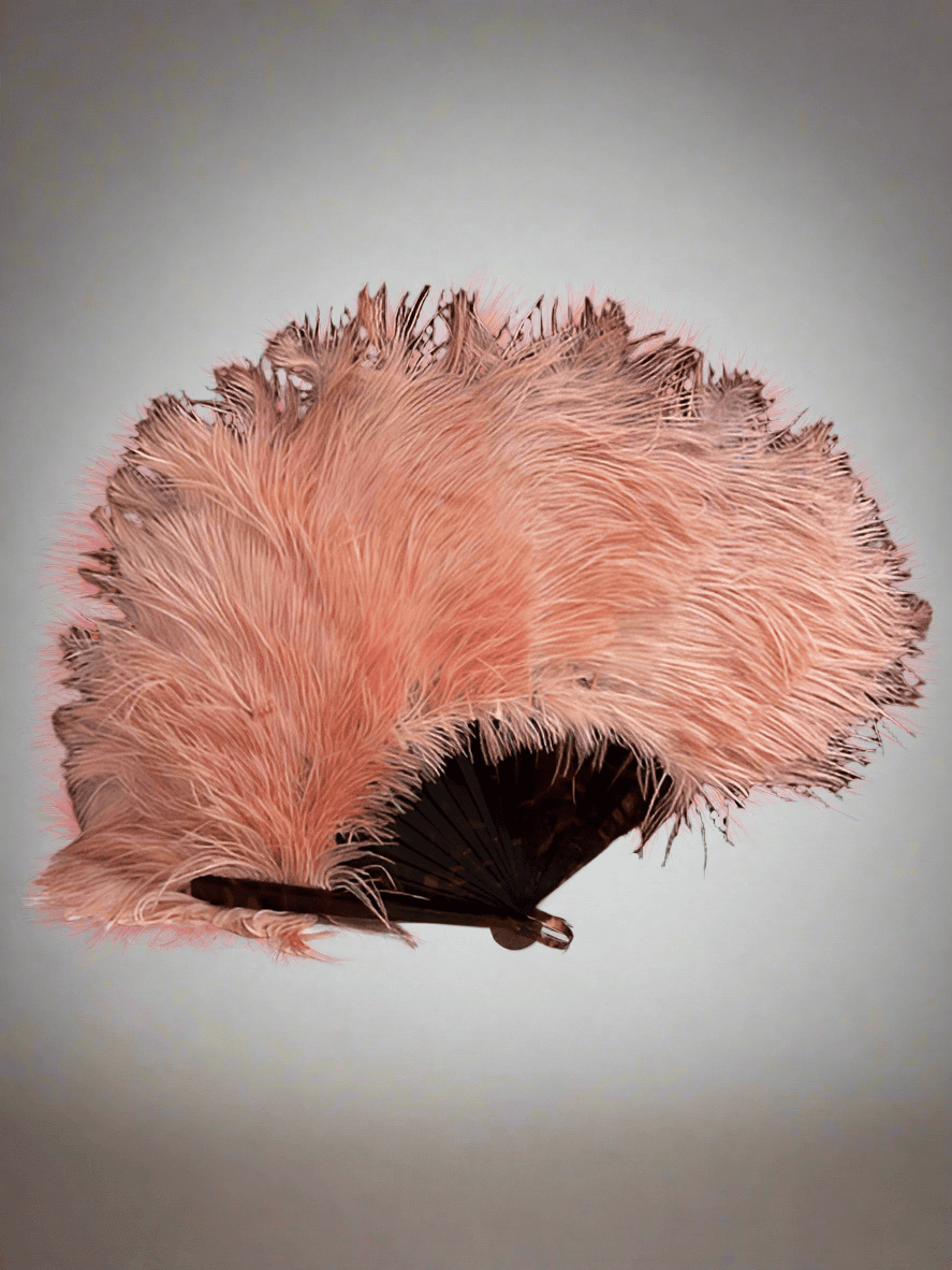Rare Ostrich Feather Fan - Industry Vintage