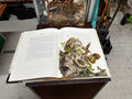 The Bird Paintings by Raymond Ching, First Edition - Industry Vintage
